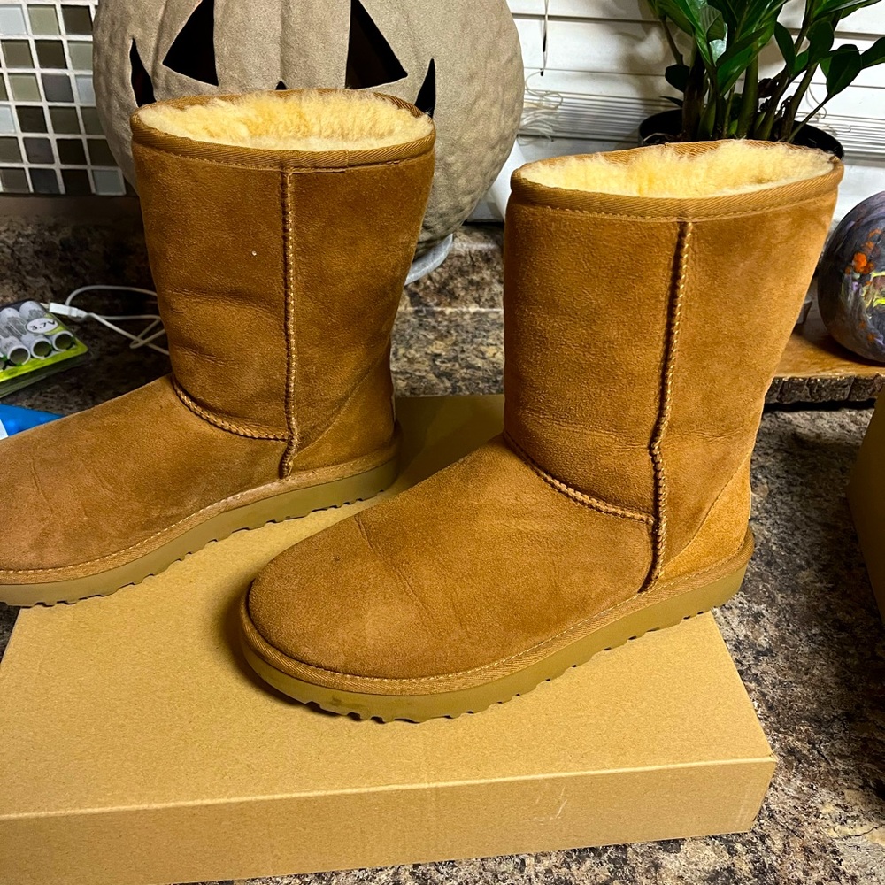 Ugg classic short